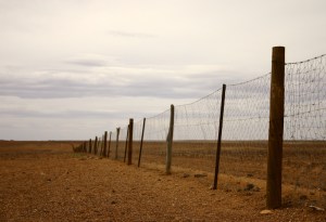 dingo fence dreamstime_s_4612934