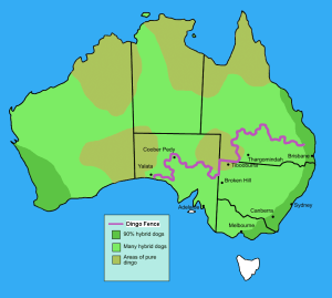 Dingo_fence_in_Australia map