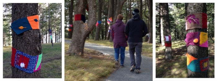 arboretum warm trees cedars 3