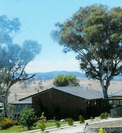 This photo of my house in the early 80s shows the tree to the left and the horizontal branch that fell on the fence a few years ago. The tree to the right was cut down before I moved in - which I would probably not be allowed to do now even given the risk from bushfire and falling branches.